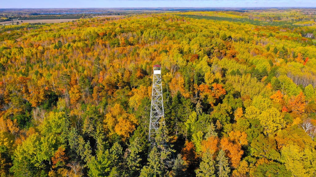 1920x1080 aerial photo of fall leaves and historic Pequot Lakes Water Tower