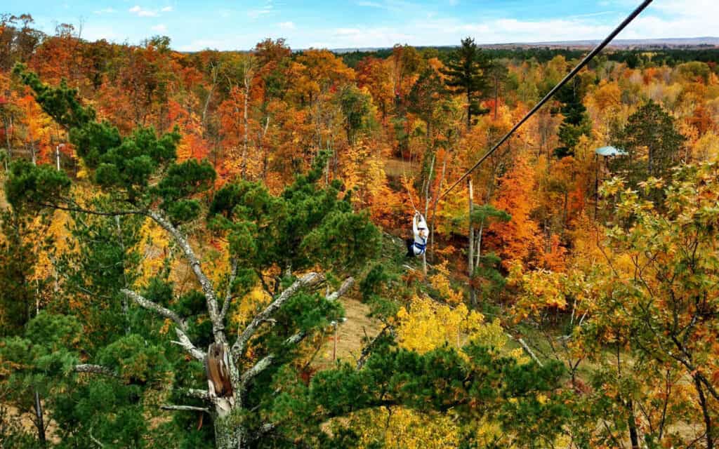 1920x1200 photo of person zip lining at Brainerd Zipline Tour in the trees during fall with bright red, orange, yellow, and green leaves
