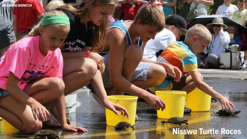 1565x880 kids gathered to race painted turtles on a hot summer day in Nisswa