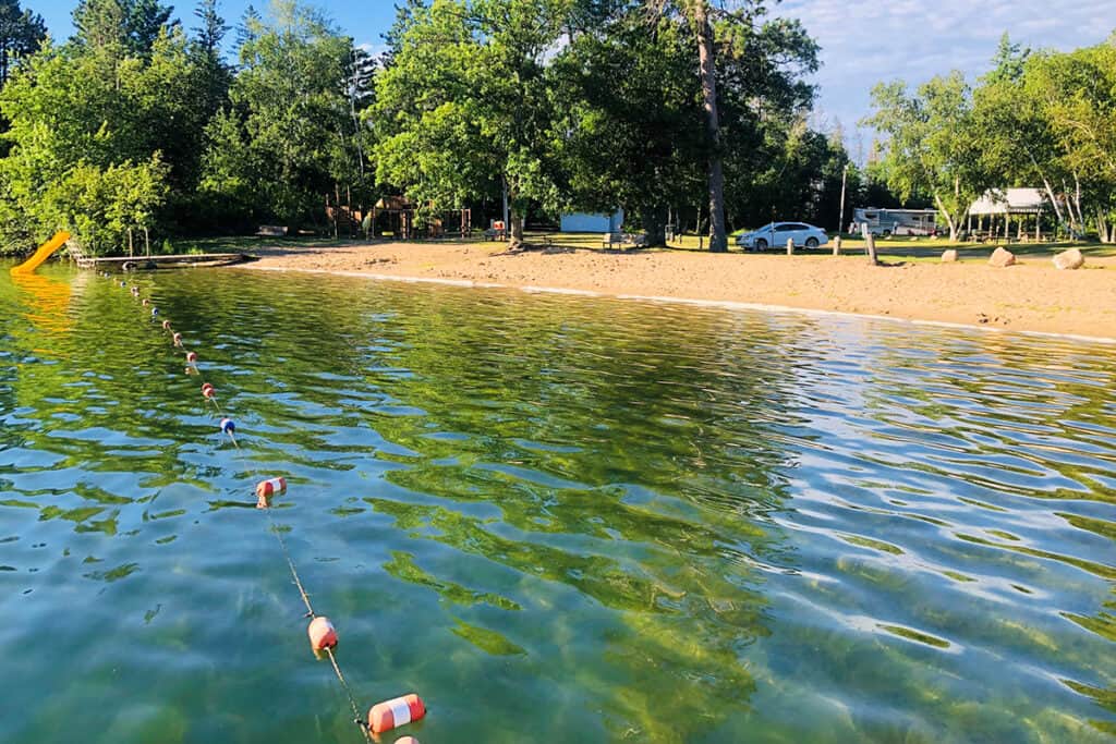 A Sandy swimming beach with a park in the background surrounded by forest on a sunny summer day