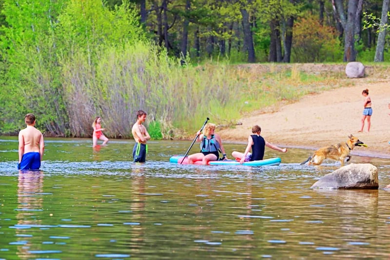Photo of people and a dog swimming and playing in the lake at Whipple Beach on a summer day.