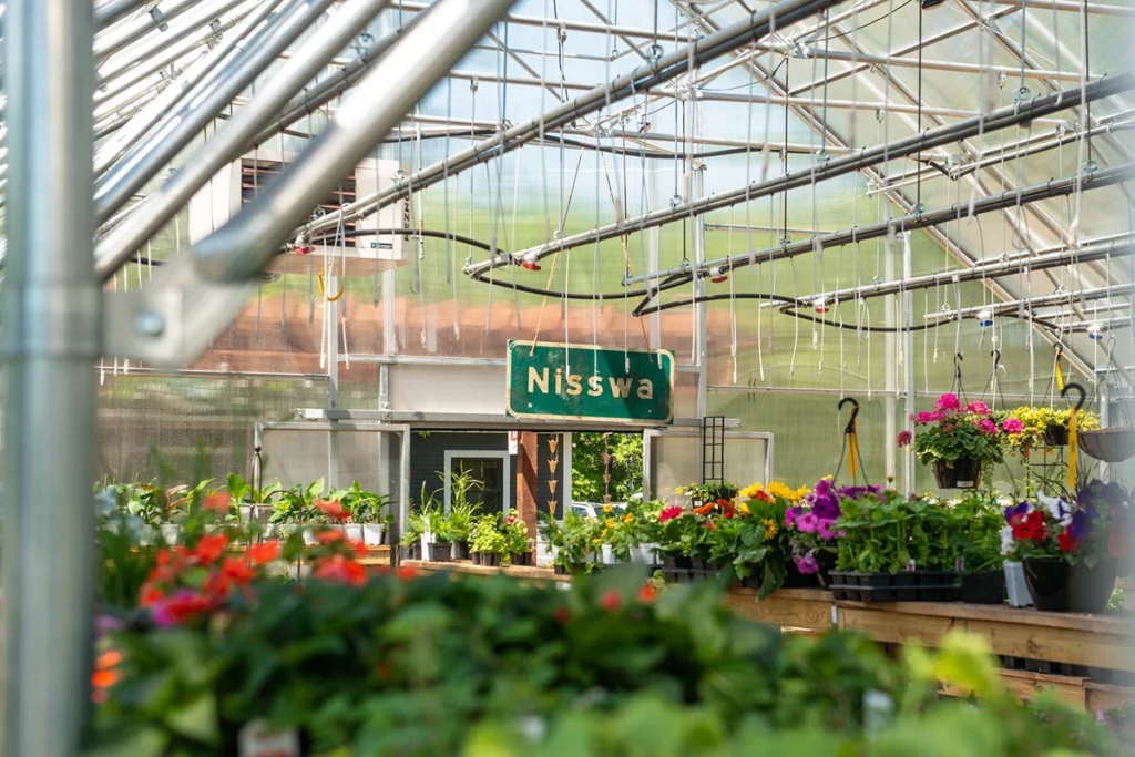 Photo of the inside of a greenhouse at Copper Creek Garden and Landscapes showing hundreds of flowers and plants on a sunny spring day