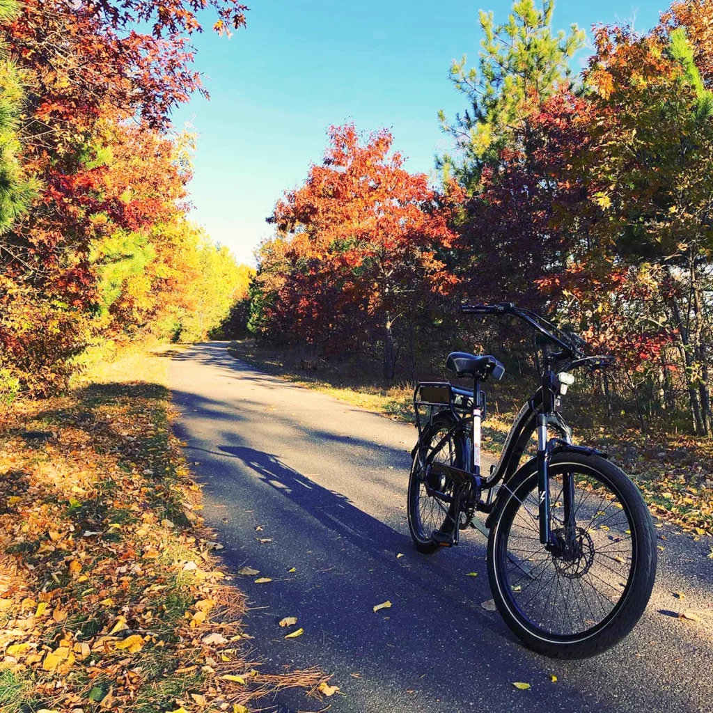Photo of a bike parked on a paved bike path surrounded by forest on a sunny fall day
