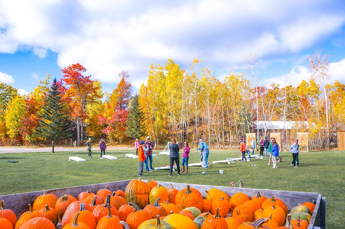 Photo of a group of people playing bean bags at Madden's On Gull Lake on a sunny fall day with a wagon of pumpkins in the foreground