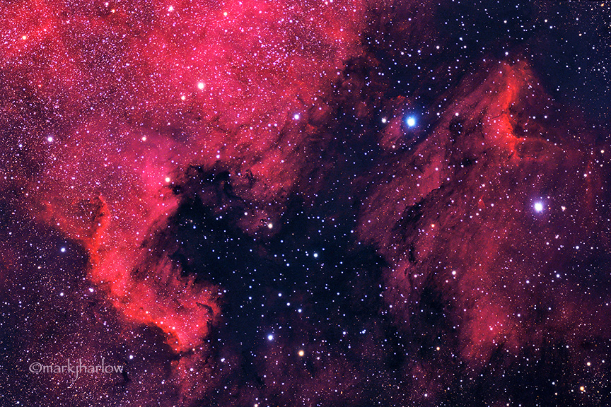 North American - Pelican Nebula