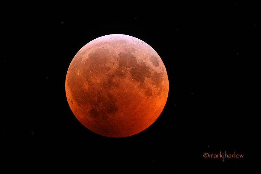 Wolf Blood Super Moon