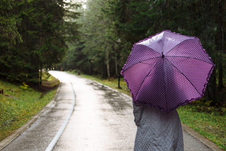 Person holding a purple polka dot umbrella walking along a wet forest road on a rainy day
